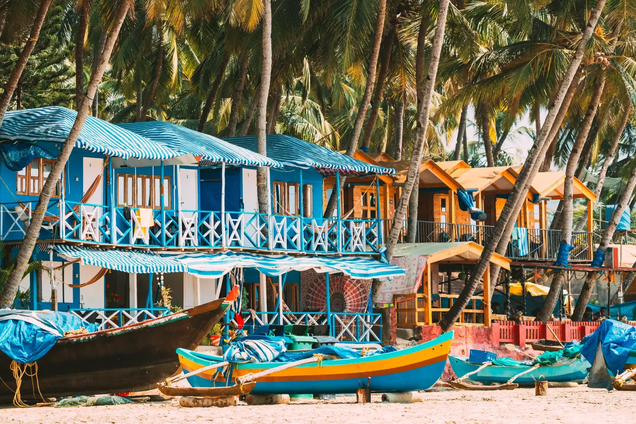 Goa photo 5